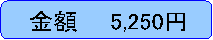 ���z�@�@5,250�~