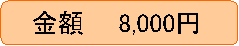 ���z�@�@8,000�~